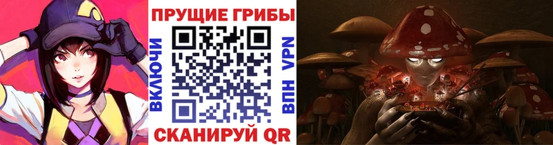 Псилоцибиновые грибы GOLDEN TEACHER  Дятьково 