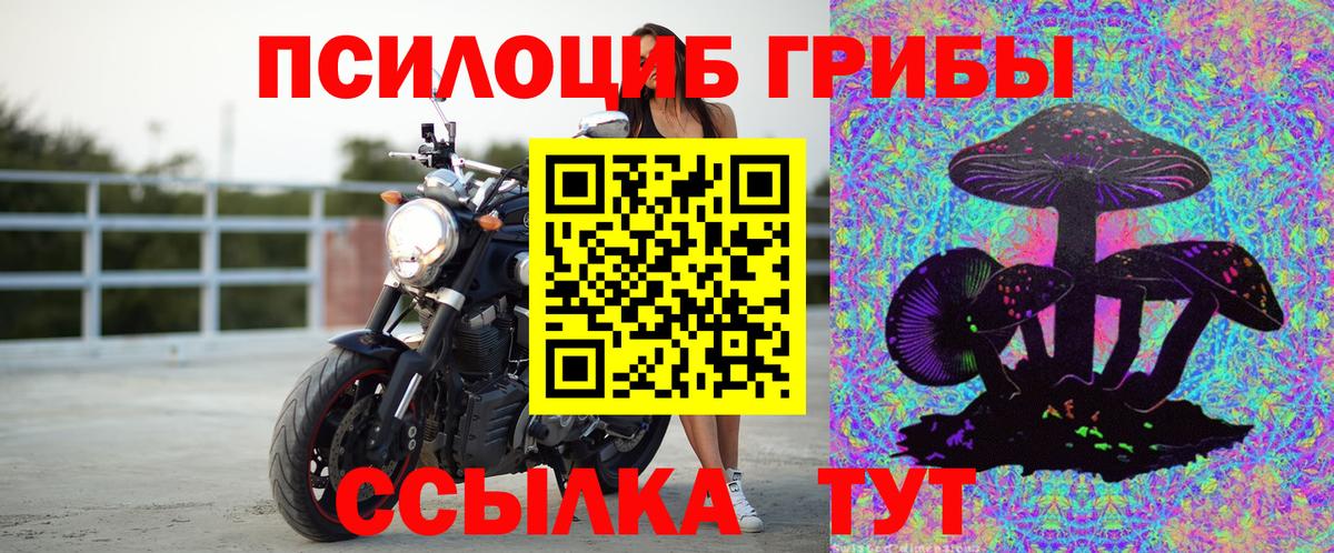 Галлюциногенные грибы мухоморы Дятьково