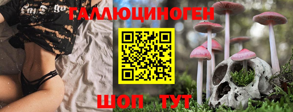 как найти   Вход с VPN  Дятьково  Псилоцибиновые грибы мицелий 
